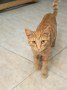 Oliver (6)